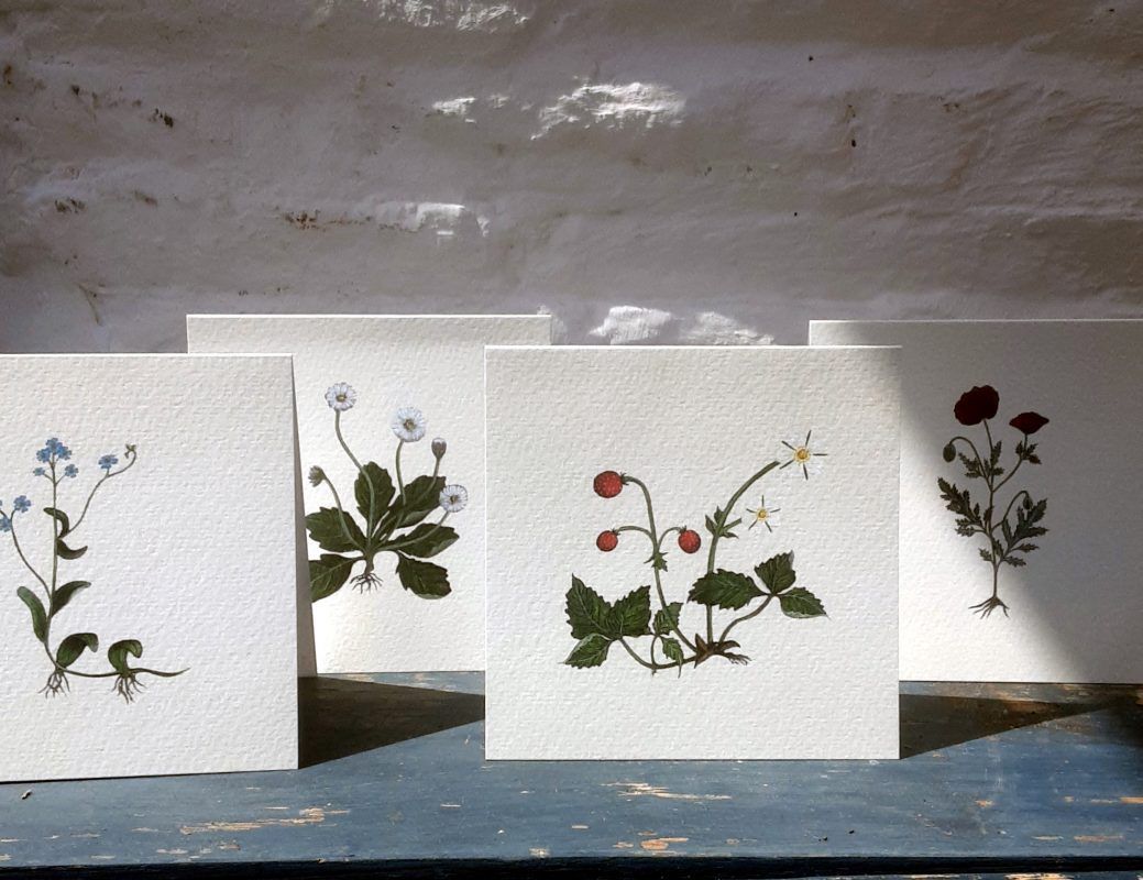 Claire Vaughan - Notecards - 4 Pack (Botanicals)