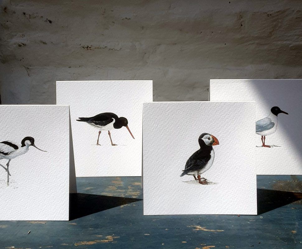 Claire Vaughan - Notecards - 4 Pack (Coastal)