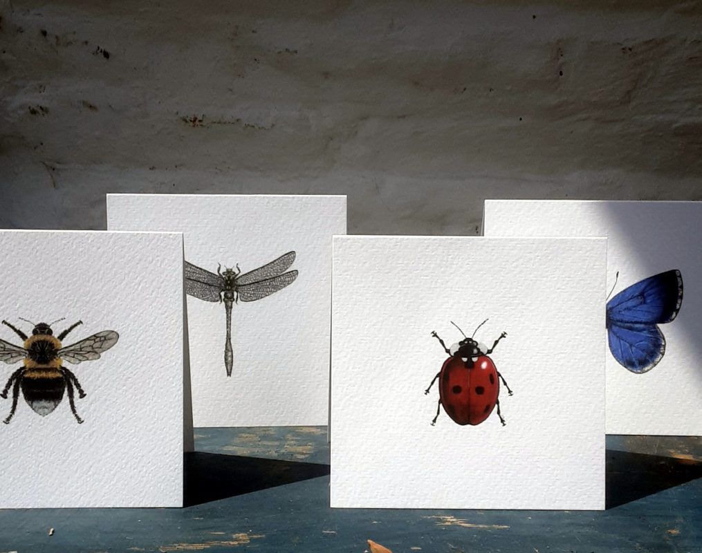 Claire Vaughan - Notecards - 4 Pack (Insects)