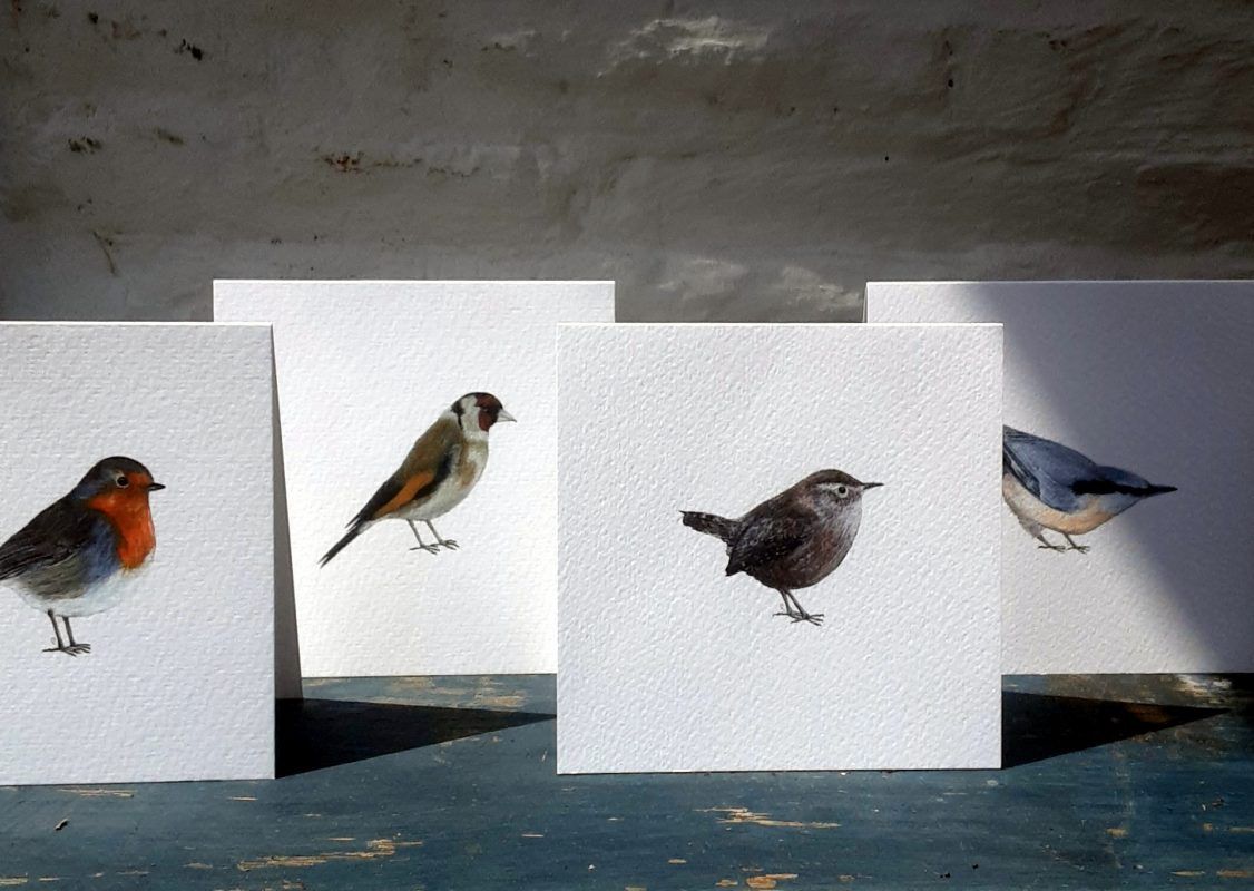 Claire Vaughan - Notecards - 4 Pack (Garden Birds)