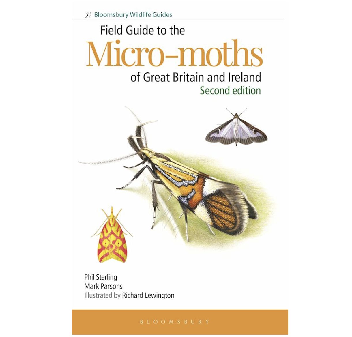 Field Guide to the Micro-moths of Great Britain - Paperback Book