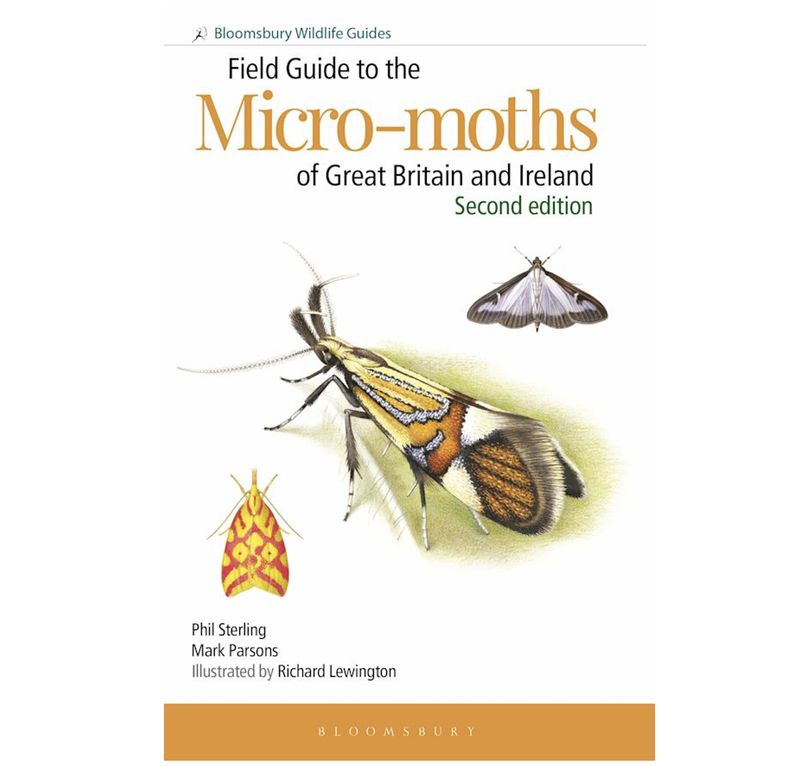 Field Guide to the Micro-moths of Great Britain - Paperback Book