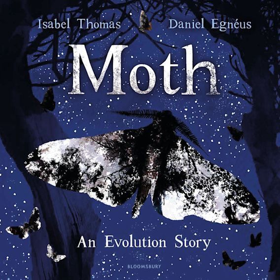 Moth - An Evolution Story - Paperback Book