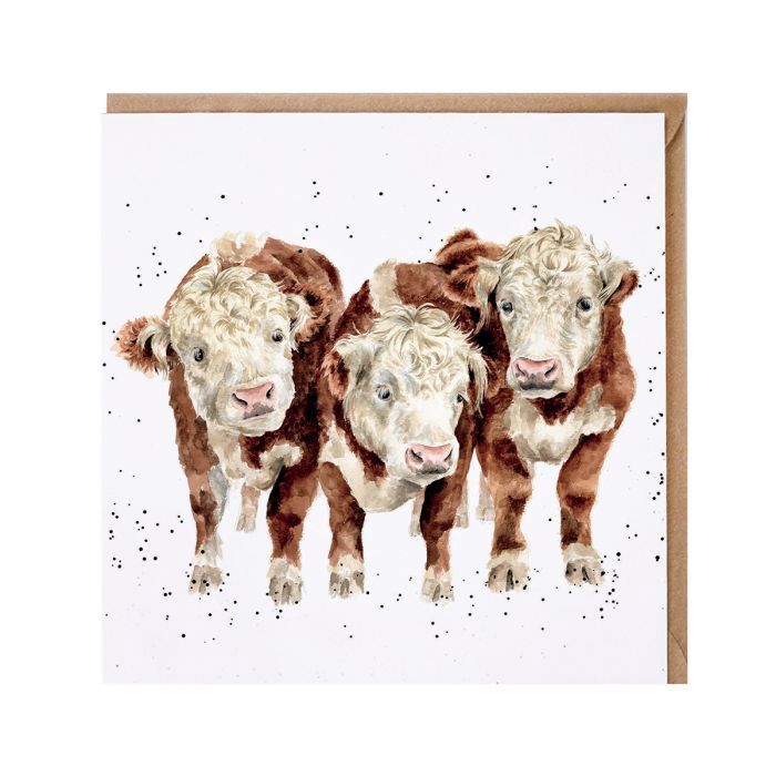 Wrendale Designs - &#39;Paddy, Percy And Pedro&#39; Cow Card