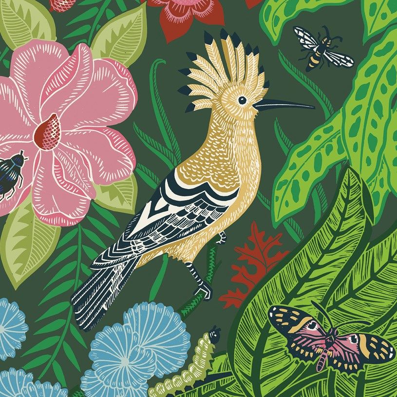The Art File -  Hoopoe &amp; Bee - Kate Heiss