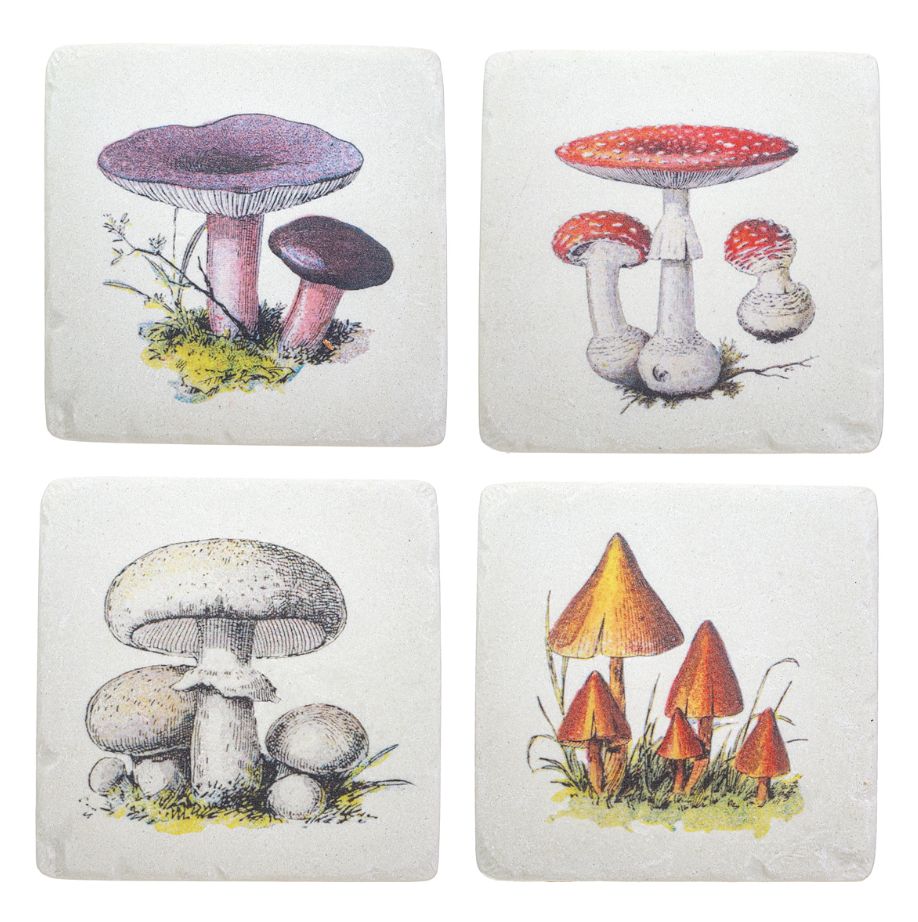 Sass &amp; Belle - Vintage Mushroom Coasters - Set of 4