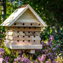 Wildlife World - Interactive Solitary Bee Hive