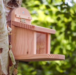 Wildlife World - Squirrel Feeder
