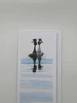 Paul Dyson - Great Crested Grebes Card