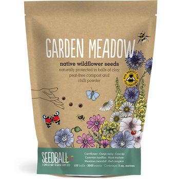 Seedball - Grab Bag - Garden Meadow