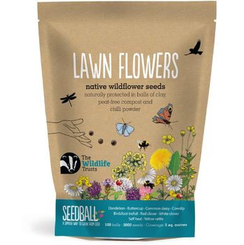 Seedball - Grab Bag - Lawn Flowers