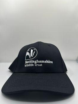 Branded - Cap Panel - Black