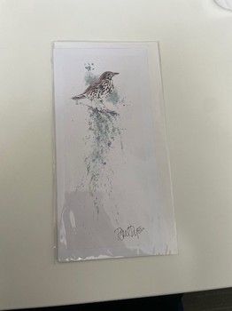 Paul Dyson - Song Thrush Card