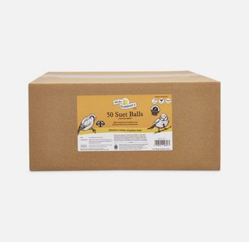 Walter Harrison&#39;s - Energy Boost Suet Balls - 50x85g - Insect