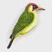 Bearded Moon - Green Woodpecker - Brooch (Large)