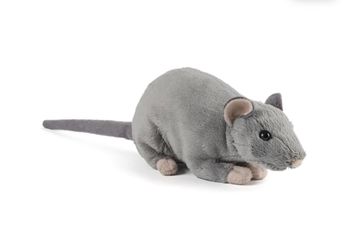 Keycraft - Rat