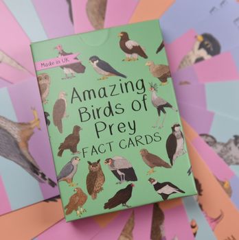 Button &amp; Squirt - Amazing Birds of Prey Fact Cards