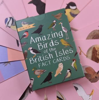 Button &amp; Squirt - Amazing Birds of the British Isles Fact Cards