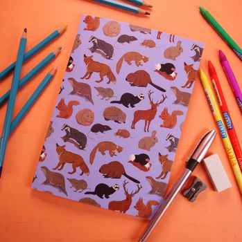 Button &amp; Squirt - British Mammals Notebook