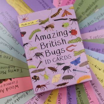Button &amp; Squirt - Amazing British Bugs ID Cards