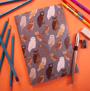 Button &amp; Squirt - Owls Notebook