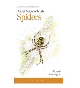 Pocket Guide to British Spiders - Paperback Book