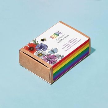 Seedball - Rainbow Wildflowers