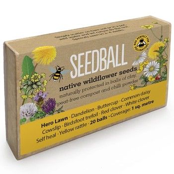Seedball - Hero Lawn Wildflowers
