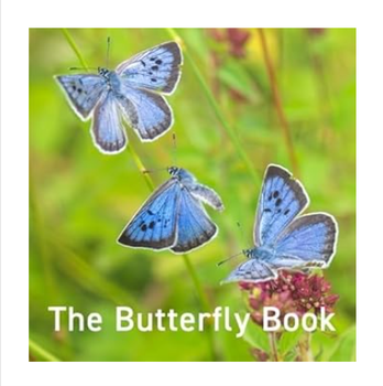 The Butterfly - Hardback Book