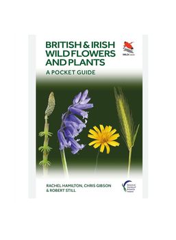 British &amp; Irish Wild Flowers and Plants - A Pocket Guide - Paperback Book