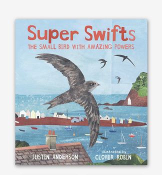 Super Swifts: The Small Bird with Amazing Powers