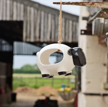 Wildlife World - Woolie The Sheep Pot