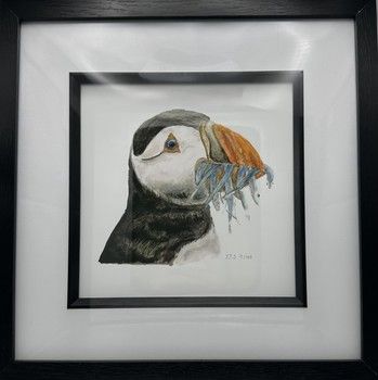 Jake Sexton - Puffin - Framed Print