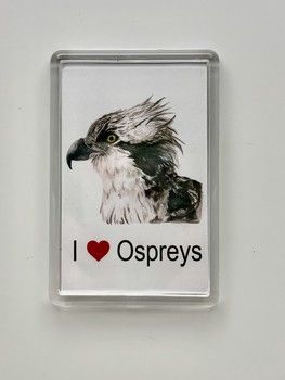 Jake Sexton - Osprey - Fridge Magnet