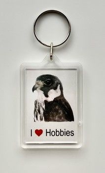 Jake Sexton - Hobby - Keyring