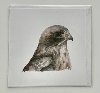 Jake Sexton - Buzzard (Buteo buteo) - Greetings Card