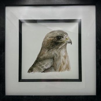 Jake Sexton - Buzzard - Framed Print