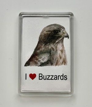 Jake Sexton - Buzzard - Fridge Magnet