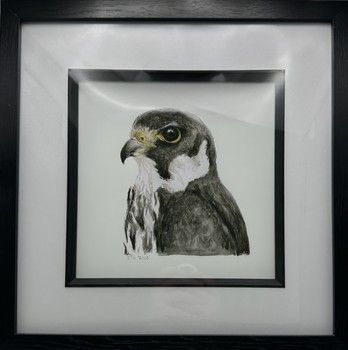 Jake Sexton - Hobby - Framed Print