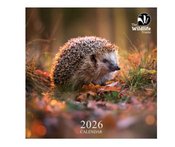 Wildlife Trust - Wall Calendar 2026