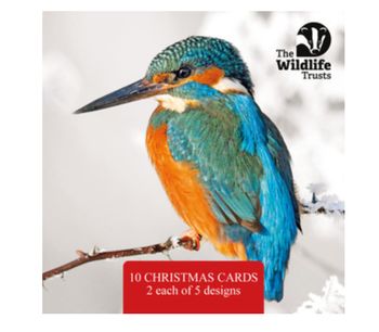 Wildlife Trust - Mixed Photos Pack of 10 Cards 2025