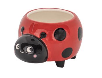 Sass &amp; Belle - Ladybird Mini Planter