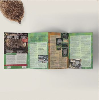 Wildlife World - Hedgehog Guide
