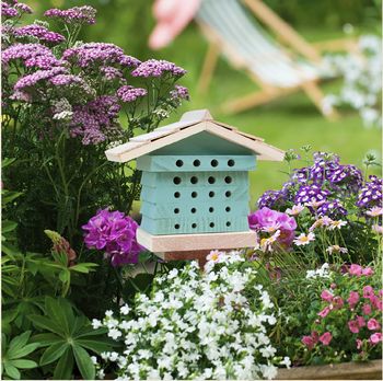 Wildlife World - Bee Hyve