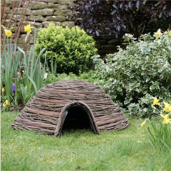 Wildlife World - Dome Hedgehog Home