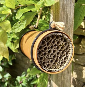 Wildlife World - Eco Bee Nester