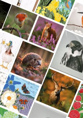 Cards &amp; Gift Wrap