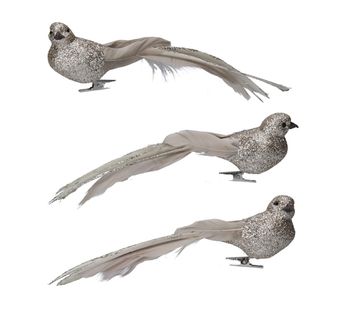 Gisela Graham - Acrylic Clip-on Decoration - Pale Sparkle/Feather Bird, 3as