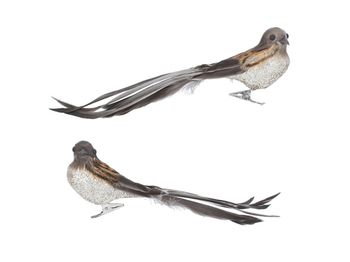 Gisela Graham - Acrylic Clip-on Dec 20cm - Beaded/Feather Bird