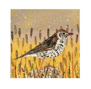 Adam James Severn - Song Thrush Card